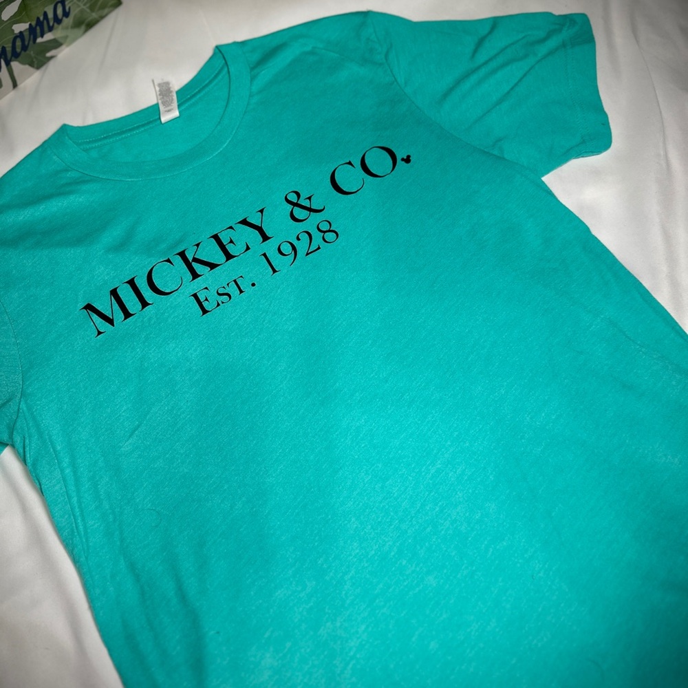 Bella Canvas Aqua T-Shirt